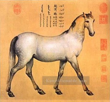 郎世宁 Lang Shining Giuseppe Castiglione Werke - Afghanische Vier Stäbe zeigt ein Pferd namens Chaoni er Lang glänzende Giuseppe Castiglione alte China Tinte